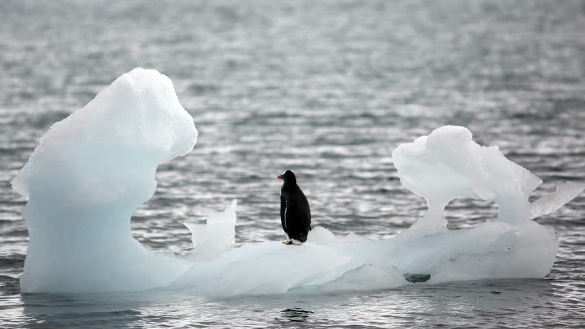 Фото - В Антарктиде обнаружили беспрецедентно мало льда