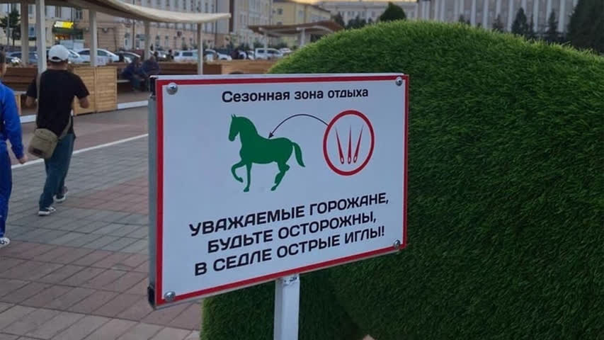 Фото - Власти российского города решили отпугивать жителей от лошадей иглами