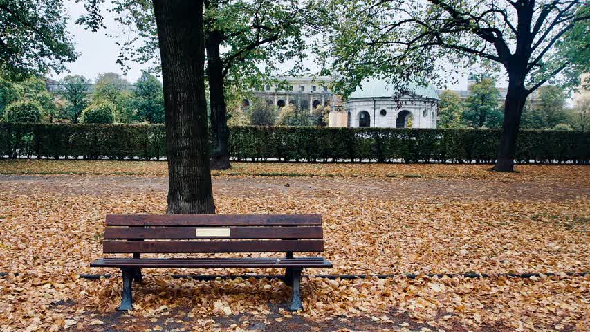 Фото - В Европе нашли угрозу в уборке опавших листьев